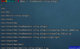 手动安装shadowsocks以及v2ray-plugin部署ss+ws+tls|伪装站点