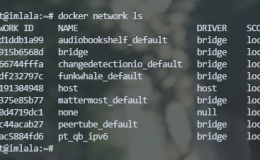配置Docker安装的qBittorrent仅使用IPv6