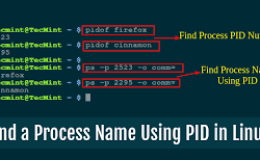 Linux 中 4 个简单的找出进程 ID（PID）的方法
