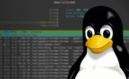 [转]Linux 测试脚本，支持speedtest测速、丢包率、Geekbench v5、流媒体解锁等测试