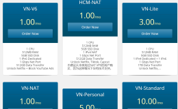 fuzzypn|越南河内vps测评|1Gbps|月付$1起|解锁奈飞&TikTok