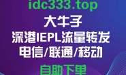 大牛子|三网深港 IEPL/IPLC 流量转发专线:2ms低延迟 | TikTok直播与跨境外贸办公专用