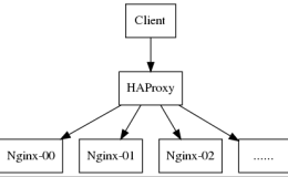 在TCP Mode 下，从Haproxy 向Nginx 传递客户端真实网络地址